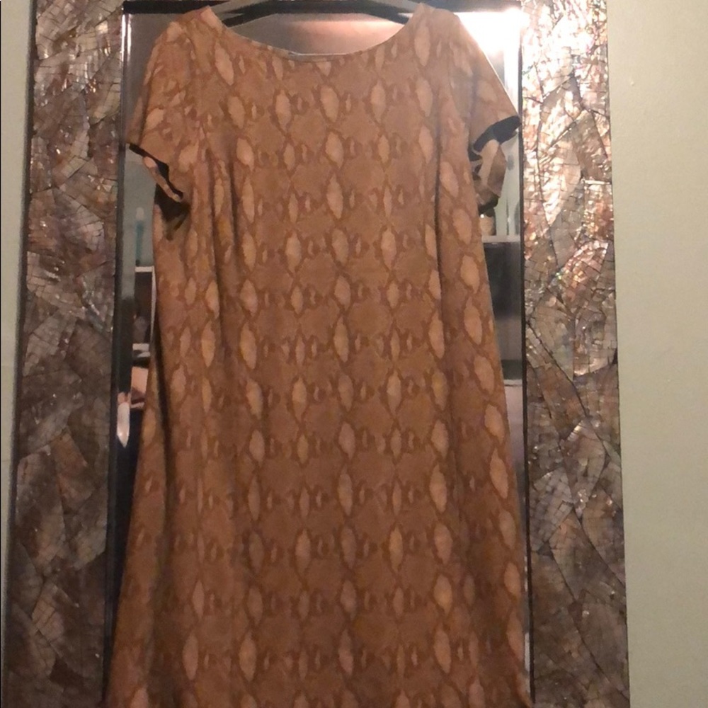 Lauren Ralph Lauren Brown Midi Dress